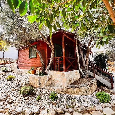 Ata Bungalow Bed and Breakfast Kaş Esterno foto